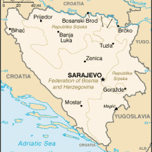 SAR-VIE-SAR